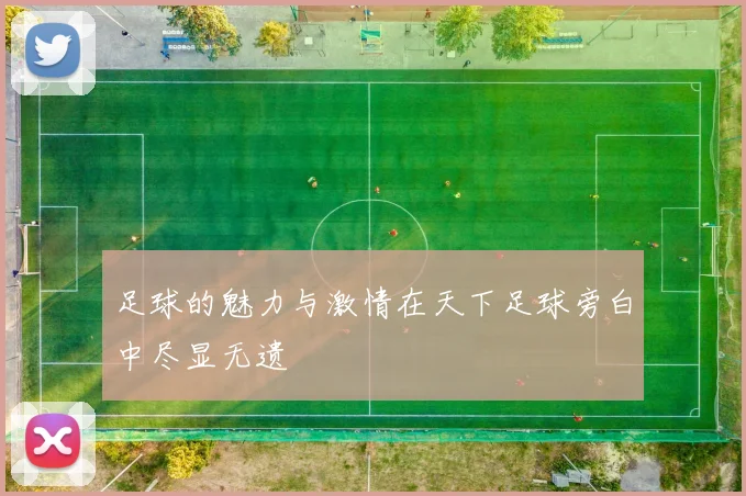 足球的魅力与激情在天下足球旁白中尽显无遗