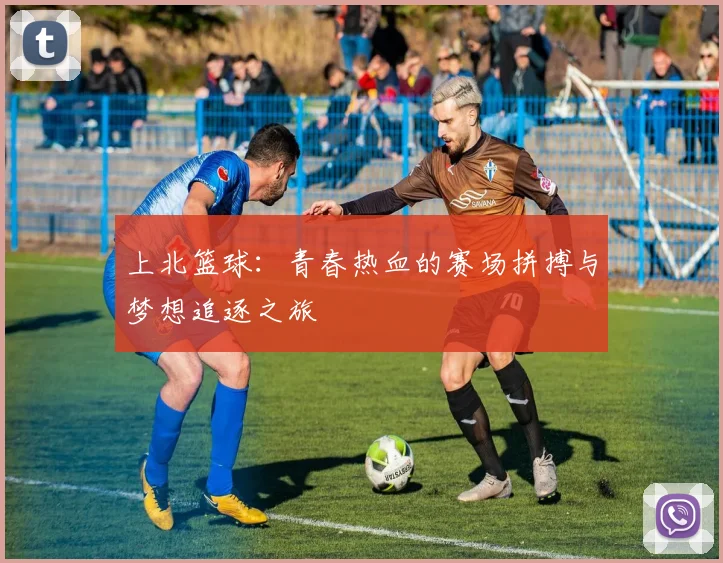 上北篮球：青春热血的赛场拼搏与梦想追逐之旅